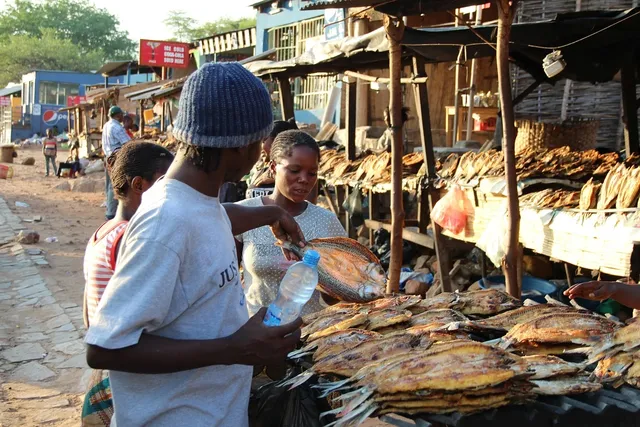 Zambia vakantie