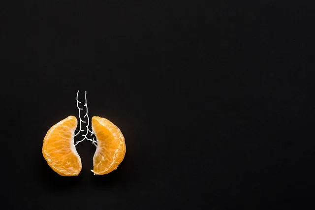 De longen zorgen ervoor dat ademhaling mogelijk is.